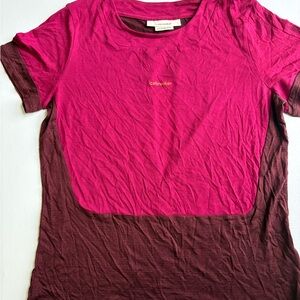 Icebreaker Women's Fuchsia and Chocolate Short Sleeve Tee